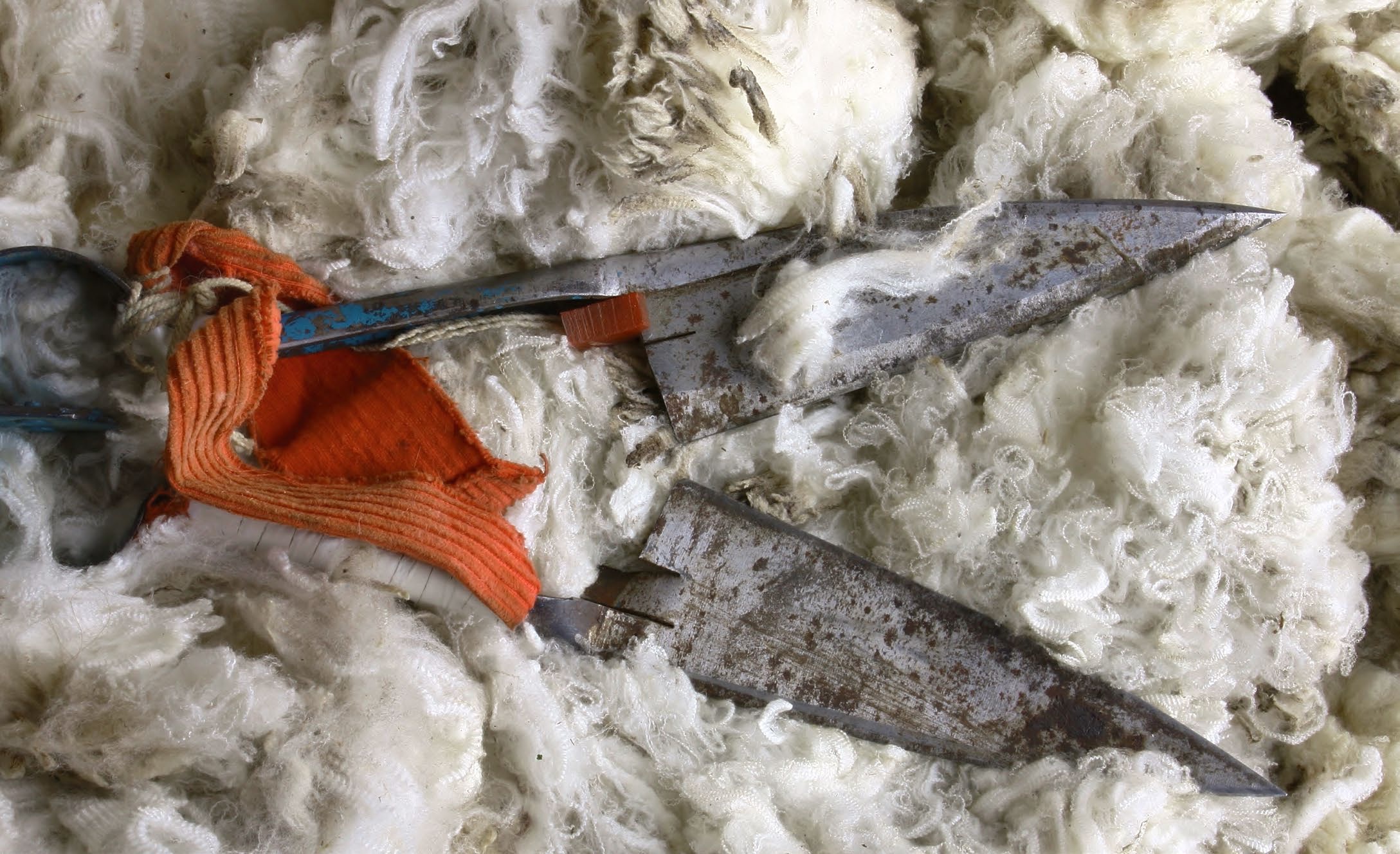 The story begins with the fabric.